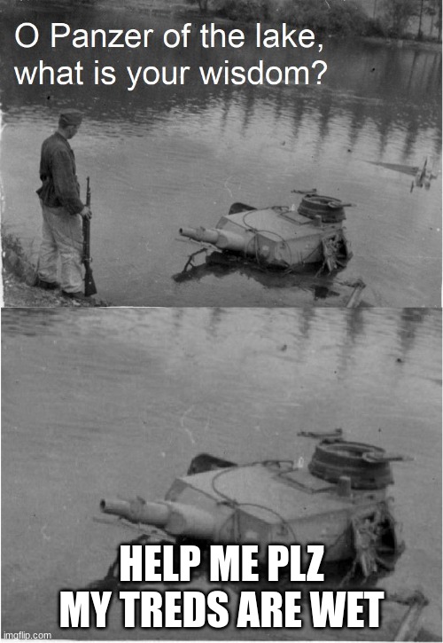 o panzer of the lake |  HELP ME PLZ MY TREDS ARE WET | image tagged in o panzer of the lake | made w/ Imgflip meme maker