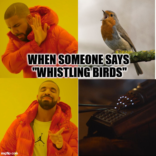 When someone says "Whistling birds" | image tagged in the mandalorian,star wars,birds,drake hotline bling | made w/ Imgflip meme maker