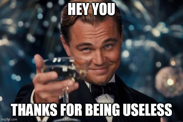 Thanks | HEY YOU; THANKS FOR BEING USELESS | image tagged in memes,leonardo dicaprio cheers | made w/ Imgflip meme maker