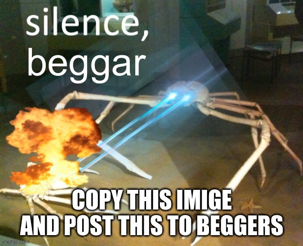 silence | COPY THIS IMIGE AND POST THIS TO BEGGERS | image tagged in silence | made w/ Imgflip meme maker