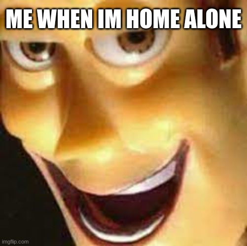 woody chan | ME WHEN IM HOME ALONE | image tagged in wooody | made w/ Imgflip meme maker