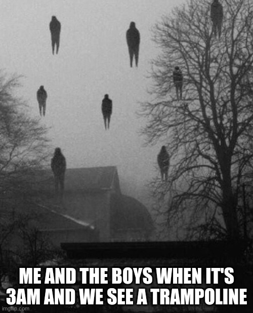 Me and the boys at 3 AM | ME AND THE BOYS WHEN IT'S 3AM AND WE SEE A TRAMPOLINE | image tagged in me and the boys at 3 am | made w/ Imgflip meme maker