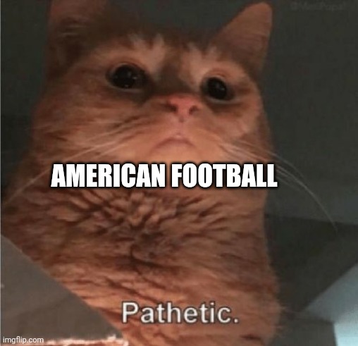 Pathetic Cat | AMERICAN FOOTBALL | image tagged in pathetic cat | made w/ Imgflip meme maker