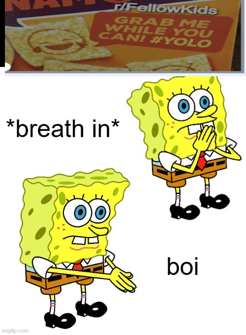 W  H A T | image tagged in breath in boi | made w/ Imgflip meme maker