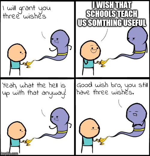 true tho | I WISH THAT SCHOOLS TEACH US SOMTHING USEFUL | image tagged in 3 wishes | made w/ Imgflip meme maker