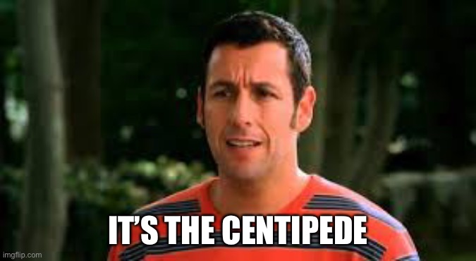 Adam Sandler | IT’S THE CENTIPEDE | image tagged in adam sandler | made w/ Imgflip meme maker