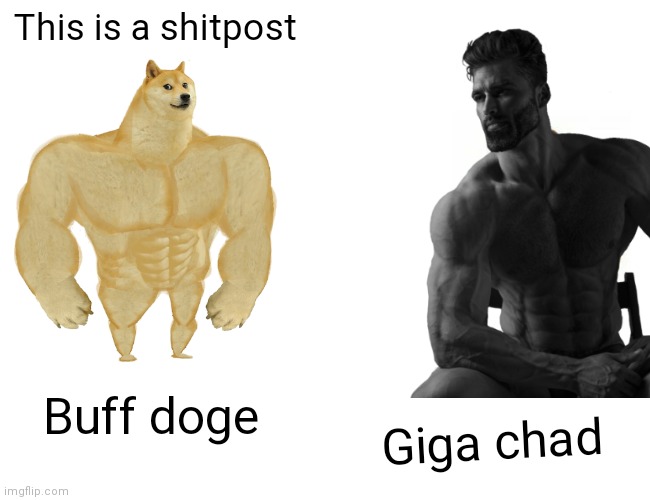 Buff Doge vs. Cheems | This is a shitpost; B2dxwsm1; Buff doge; Giga chad | image tagged in memes,buff doge vs cheems | made w/ Imgflip meme maker