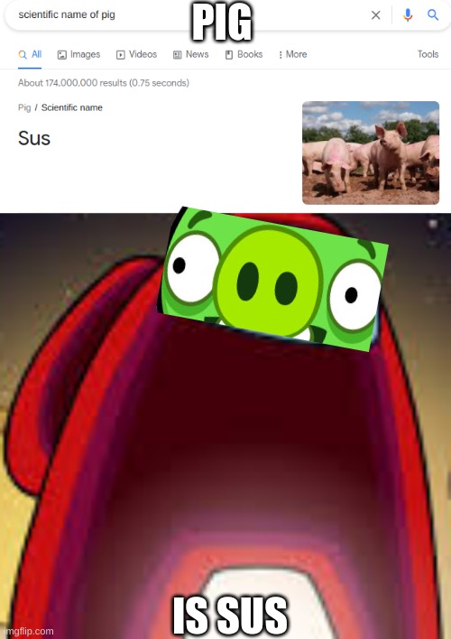 ahh, sussy piggy | PIG; IS SUS | image tagged in among us,pig,sussy | made w/ Imgflip meme maker