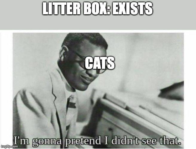 Im gonna pretend i didnt see that | LITTER BOX: EXISTS; CATS | image tagged in im gonna pretend i didnt see that | made w/ Imgflip meme maker