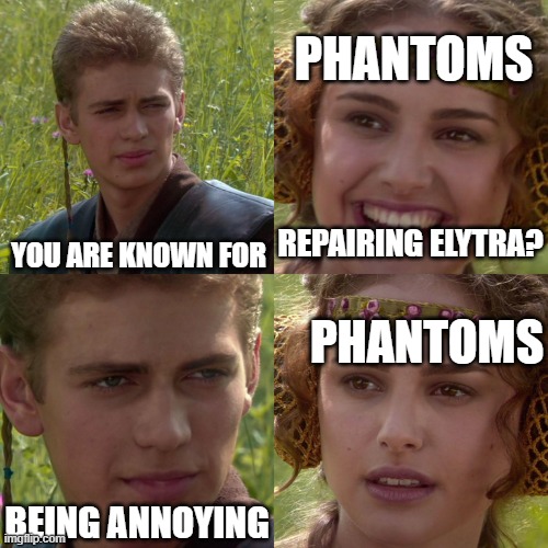 Anakin Padme 4 Panel | PHANTOMS; REPAIRING ELYTRA? YOU ARE KNOWN FOR; PHANTOMS; BEING ANNOYING | image tagged in anakin padme 4 panel | made w/ Imgflip meme maker