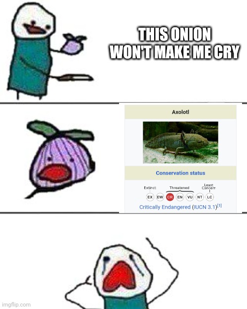 Why must it be critically endangered | THIS ONION WON'T MAKE ME CRY | image tagged in this onion won't make me cry | made w/ Imgflip meme maker