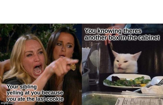 Woman Yelling At Cat Meme | You knowing theres another box in the cabinet; Your sibling yelling at you because you ate the last cookie | image tagged in memes,woman yelling at cat | made w/ Imgflip meme maker