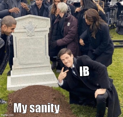 hmm |  IB; My sanity | image tagged in grant gustin over grave | made w/ Imgflip meme maker