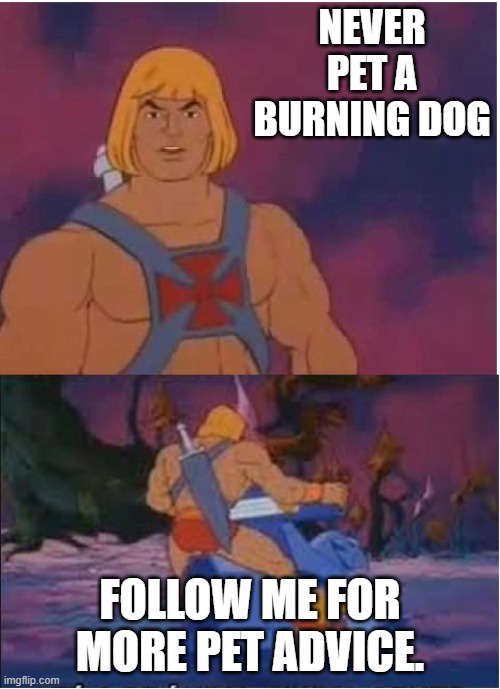 He-Man | NEVER PET A BURNING DOG; FOLLOW ME FOR MORE PET ADVICE. | image tagged in he-man | made w/ Imgflip meme maker