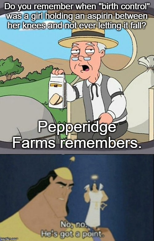 Do you remember when "birth control" was a girl holding an aspirin between her knees and not ever letting it fall? Pepperidge Farms remembers. | image tagged in memes,pepperidge farm remembers,no no hes got a point | made w/ Imgflip meme maker