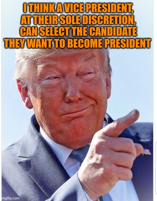 Stable genius huh? | I THINK A VICE PRESIDENT, AT THEIR SOLE DISCRETION, CAN SELECT THE CANDIDATE THEY WANT TO BECOME PRESIDENT | image tagged in trump pointing | made w/ Imgflip meme maker