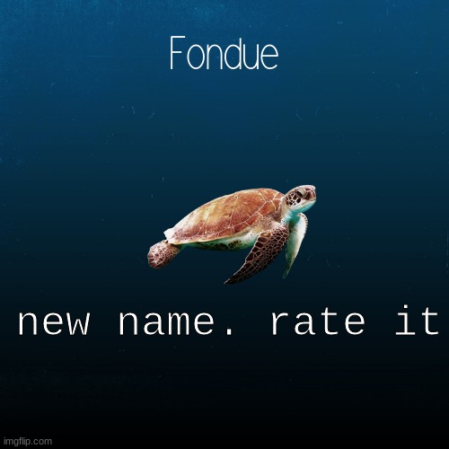 RN | new name. rate it | image tagged in turtle template-fondue | made w/ Imgflip meme maker