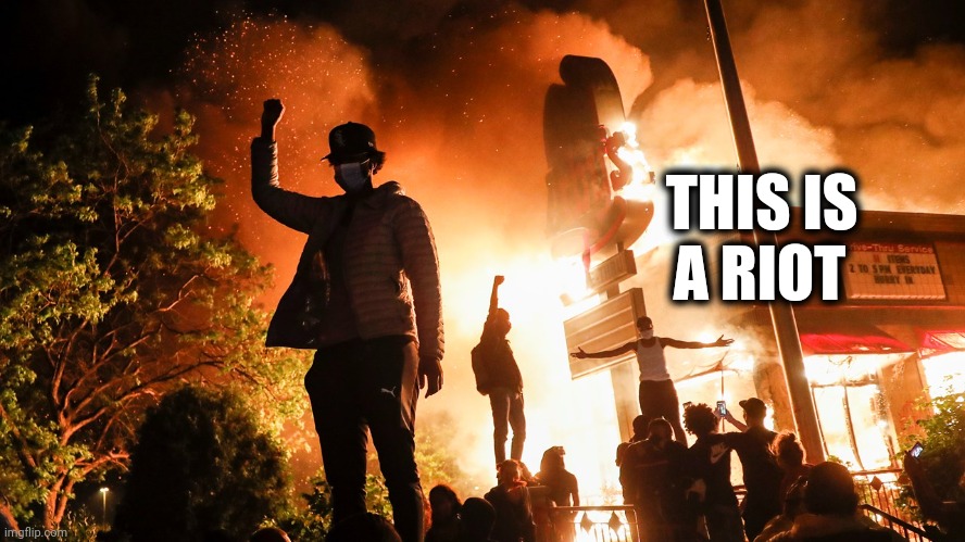 BLM Riots | THIS IS      
A RIOT | image tagged in blm riots | made w/ Imgflip meme maker