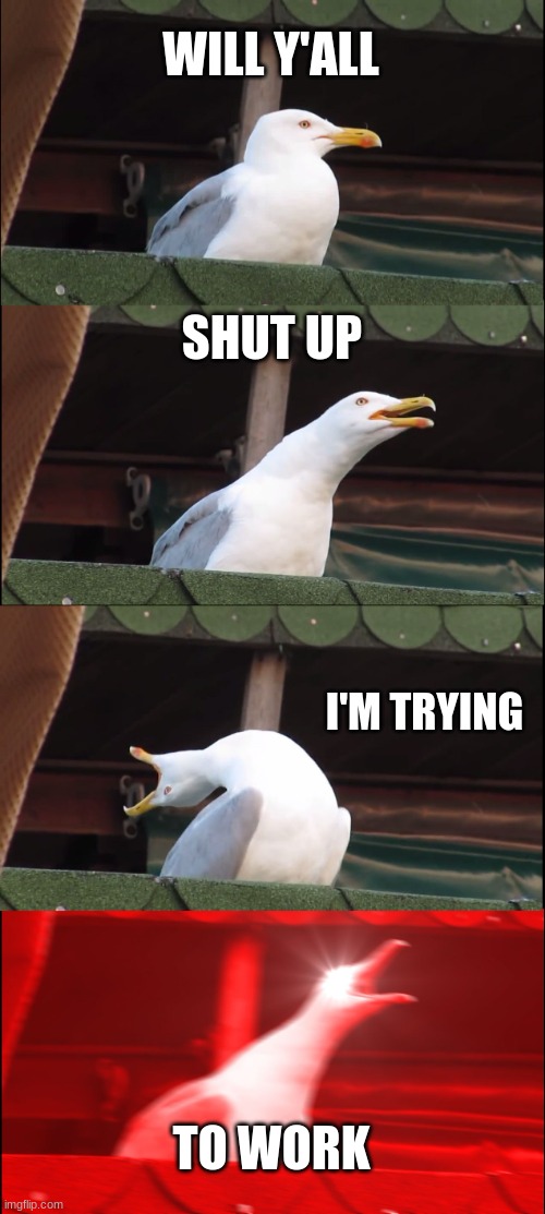 Inhaling Seagull | WILL Y'ALL; SHUT UP; I'M TRYING; TO WORK | image tagged in memes,inhaling seagull | made w/ Imgflip meme maker