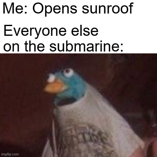 epic title | Me: Opens sunroof; Everyone else on the submarine: | image tagged in meme,wait what | made w/ Imgflip meme maker