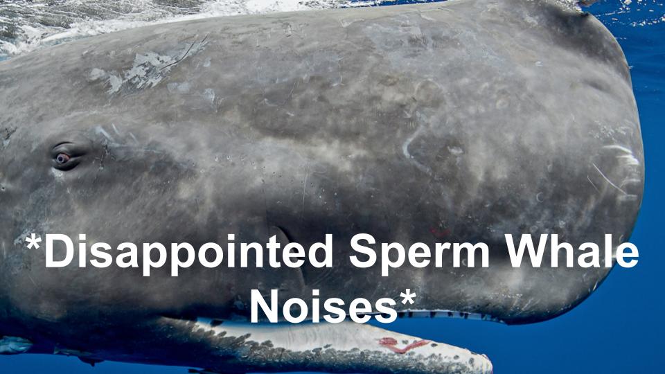 Disappointed Sperm Whale Noises Blank Meme Template