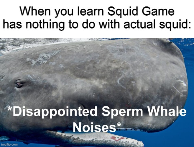 Disappointed Sperm Whale |  When you learn Squid Game has nothing to do with actual squid: | image tagged in disappointed sperm whale noises,memes,squid game,whales,disappointed | made w/ Imgflip meme maker