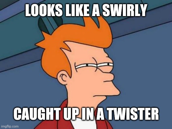 Futurama Fry Meme | LOOKS LIKE A SWIRLY CAUGHT UP IN A TWISTER | image tagged in memes,futurama fry | made w/ Imgflip meme maker