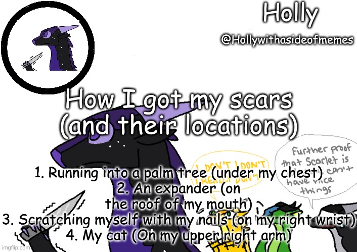 Holly announcement Wings Of Fire | How I got my scars (and their locations); 1. Running into a palm tree (under my chest)
2. An expander (on the roof of my mouth)
3. Scratching myself with my nails (on my right wrist)
4. My cat (On my upper right arm) | image tagged in holly announcement wings of fire | made w/ Imgflip meme maker