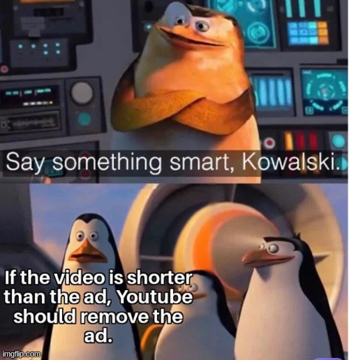smart | image tagged in penguin,say something smart kowalski | made w/ Imgflip meme maker