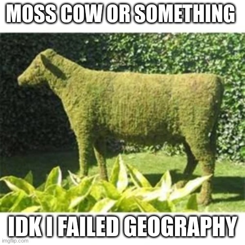 Moss More Like MOOOOOOSS |  MOSS COW OR SOMETHING; IDK I FAILED GEOGRAPHY | image tagged in moo | made w/ Imgflip meme maker