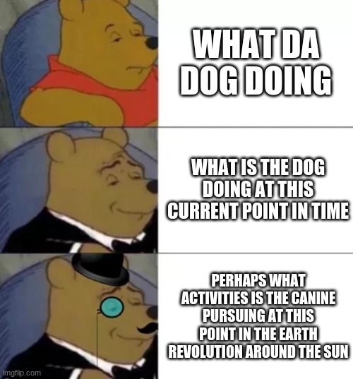 what da dog doing | WHAT DA DOG DOING; WHAT IS THE DOG DOING AT THIS CURRENT POINT IN TIME; PERHAPS WHAT ACTIVITIES IS THE CANINE PURSUING AT THIS POINT IN THE EARTH REVOLUTION AROUND THE SUN | image tagged in fancy pooh | made w/ Imgflip meme maker