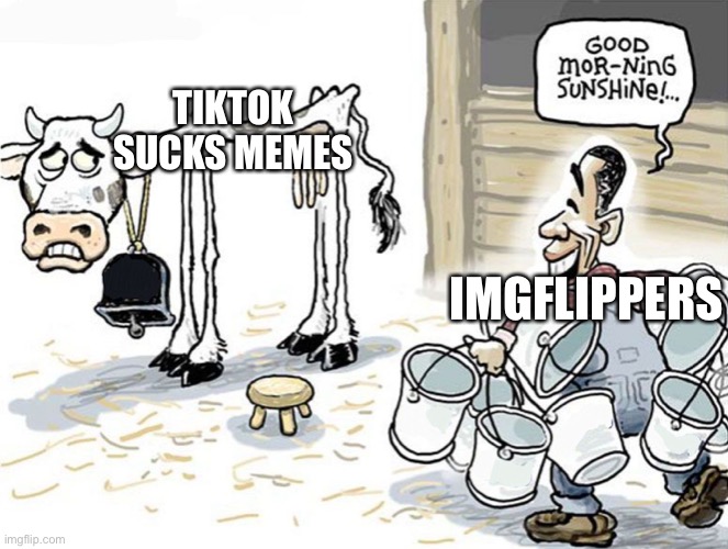 Why | TIKTOK SUCKS MEMES; IMGFLIPPERS | image tagged in milking the cow | made w/ Imgflip meme maker