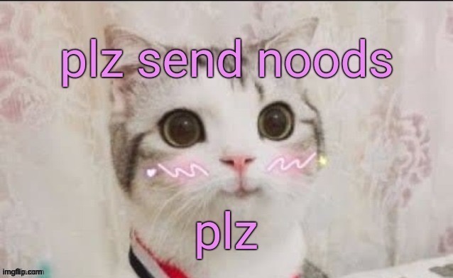 plz send noods cat | image tagged in plz send noods cat | made w/ Imgflip meme maker