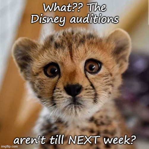 Disney auditions | What?? The Disney auditions; aren't till NEXT week? | image tagged in funny | made w/ Imgflip meme maker