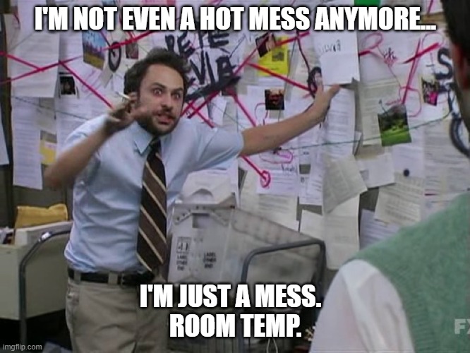 Hot mess | I'M NOT EVEN A HOT MESS ANYMORE... I'M JUST A MESS.  
ROOM TEMP. | image tagged in charlie conspiracy always sunny in philidelphia | made w/ Imgflip meme maker