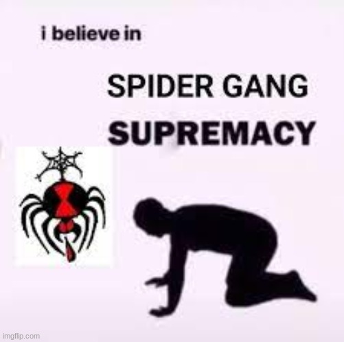 SPIDER SPIDER SPIDER  GANG | made w/ Imgflip meme maker