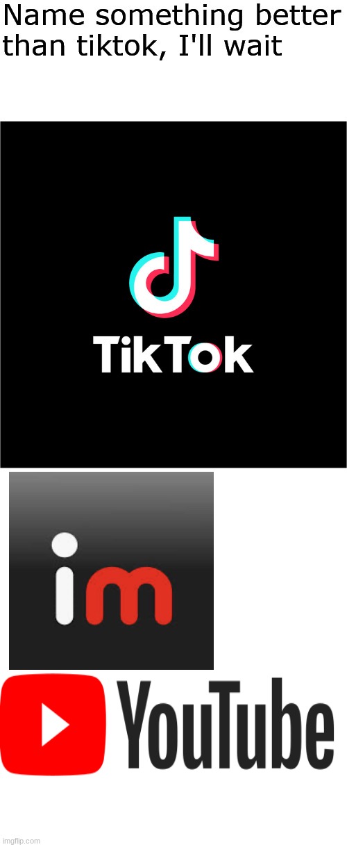 Imgflip and Youtube are away better than TikTok | image tagged in name something better than tiktok i'll wait,tiktok,imgflip,youtube | made w/ Imgflip meme maker