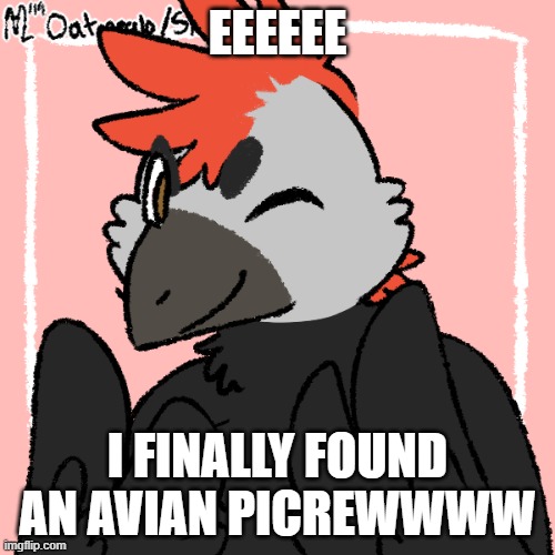 YAYYYY | EEEEEE; I FINALLY FOUND AN AVIAN PICREWWWW | image tagged in furry,picrew,cute,bird | made w/ Imgflip meme maker