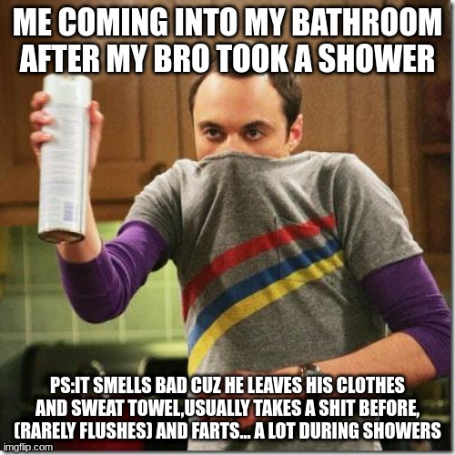 WHEW. YOU STINKY. |  ME COMING INTO MY BATHROOM AFTER MY BRO TOOK A SHOWER; PS:IT SMELLS BAD CUZ HE LEAVES HIS CLOTHES AND SWEAT TOWEL,USUALLY TAKES A SHIT BEFORE, (RARELY FLUSHES) AND FARTS... A LOT DURING SHOWERS | image tagged in air freshener sheldon cooper,stink,barney will eat all of your delectable biscuits | made w/ Imgflip meme maker