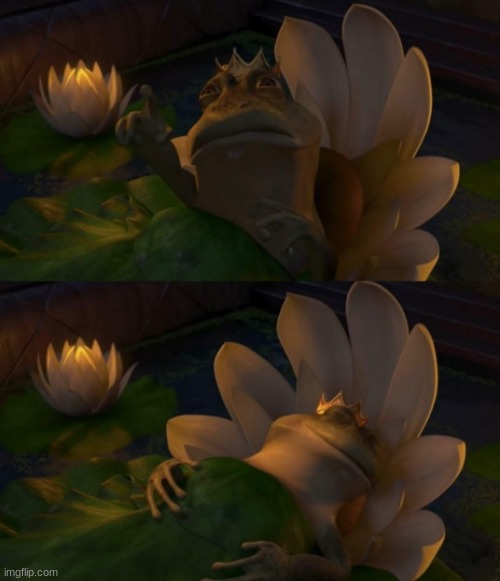 Shrek King Harold Dying | image tagged in shrek king harold dying | made w/ Imgflip meme maker