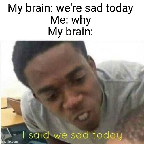 I said we sad todau | My brain: we're sad today 
Me: why 
My brain: | image tagged in i said we sad todau | made w/ Imgflip meme maker