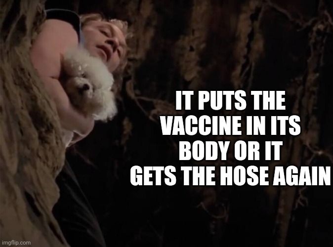 Now you are the one who is silent | IT PUTS THE VACCINE IN ITS BODY OR IT GETS THE HOSE AGAIN | image tagged in buffalo bill | made w/ Imgflip meme maker