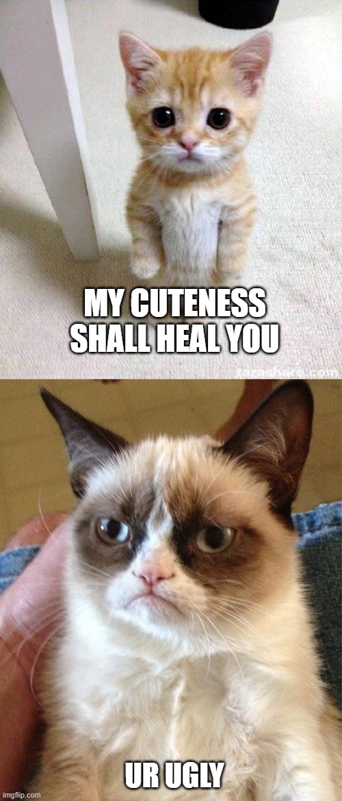 MY CUTENESS SHALL HEAL YOU; UR UGLY | image tagged in grumpy cat memes,cute cat memes,cat memes,memes | made w/ Imgflip meme maker