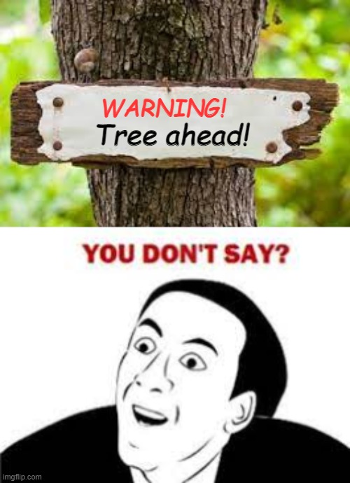You don't say | WARNING! Tree ahead! | image tagged in you don't say,tree,sign,tree ahead,sign on tree,obvious | made w/ Imgflip meme maker