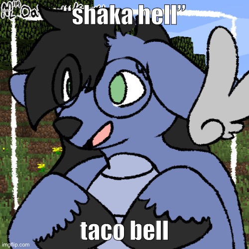 e | “shaka hell”; taco bell | image tagged in fursona thing | made w/ Imgflip meme maker