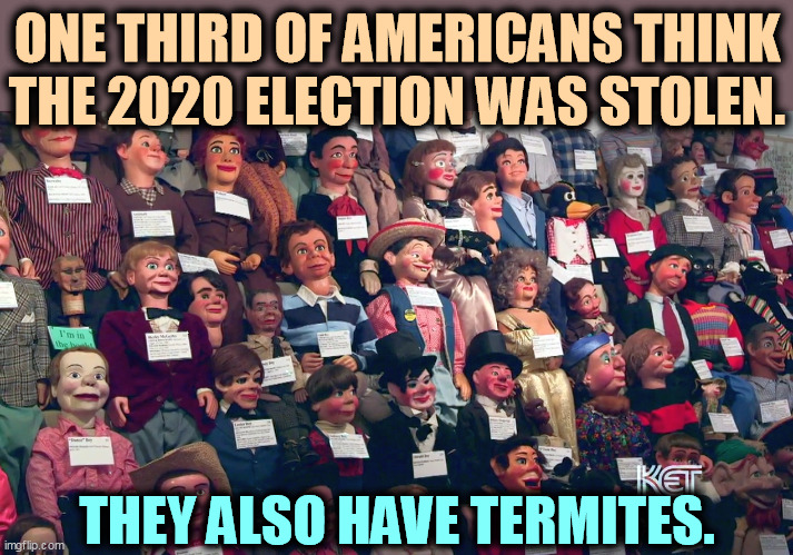 ONE THIRD OF AMERICANS THINK THE 2020 ELECTION WAS STOLEN. THEY ALSO HAVE TERMITES. | image tagged in big,lie,election 2020,stupid,republicans | made w/ Imgflip meme maker