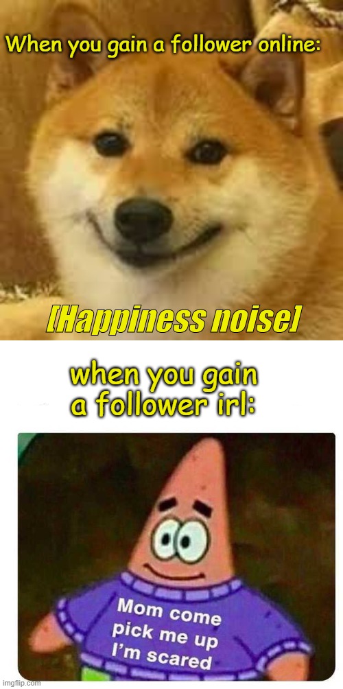 When you gain a follower online:; when you gain a follower irl: | image tagged in shibe | made w/ Imgflip meme maker