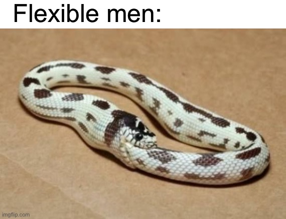 You know what I mean. | Flexible men: | image tagged in snake eating itself | made w/ Imgflip meme maker