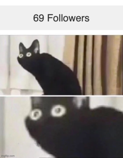 OH NOES | image tagged in oh no black cat | made w/ Imgflip meme maker