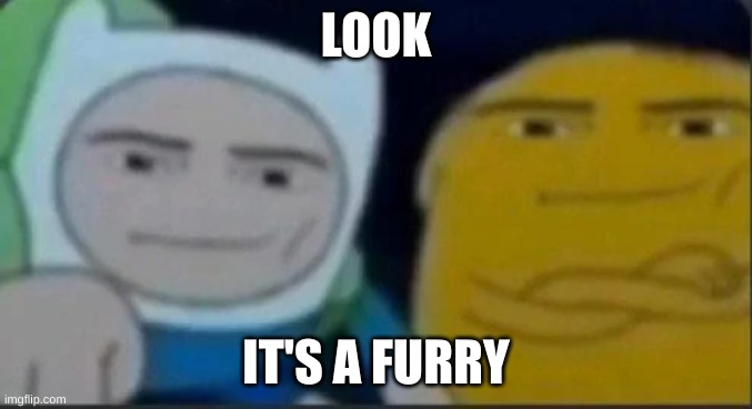 oh my god look! | LOOK; IT'S A FURRY | image tagged in furry memes | made w/ Imgflip meme maker